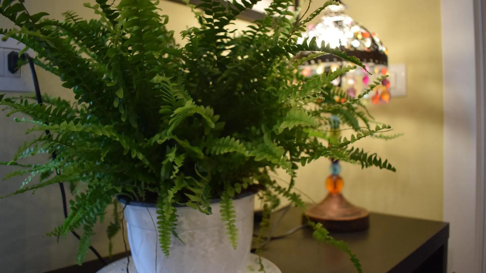 La Dimora Dell'Arte Bed and Breakfast Bari